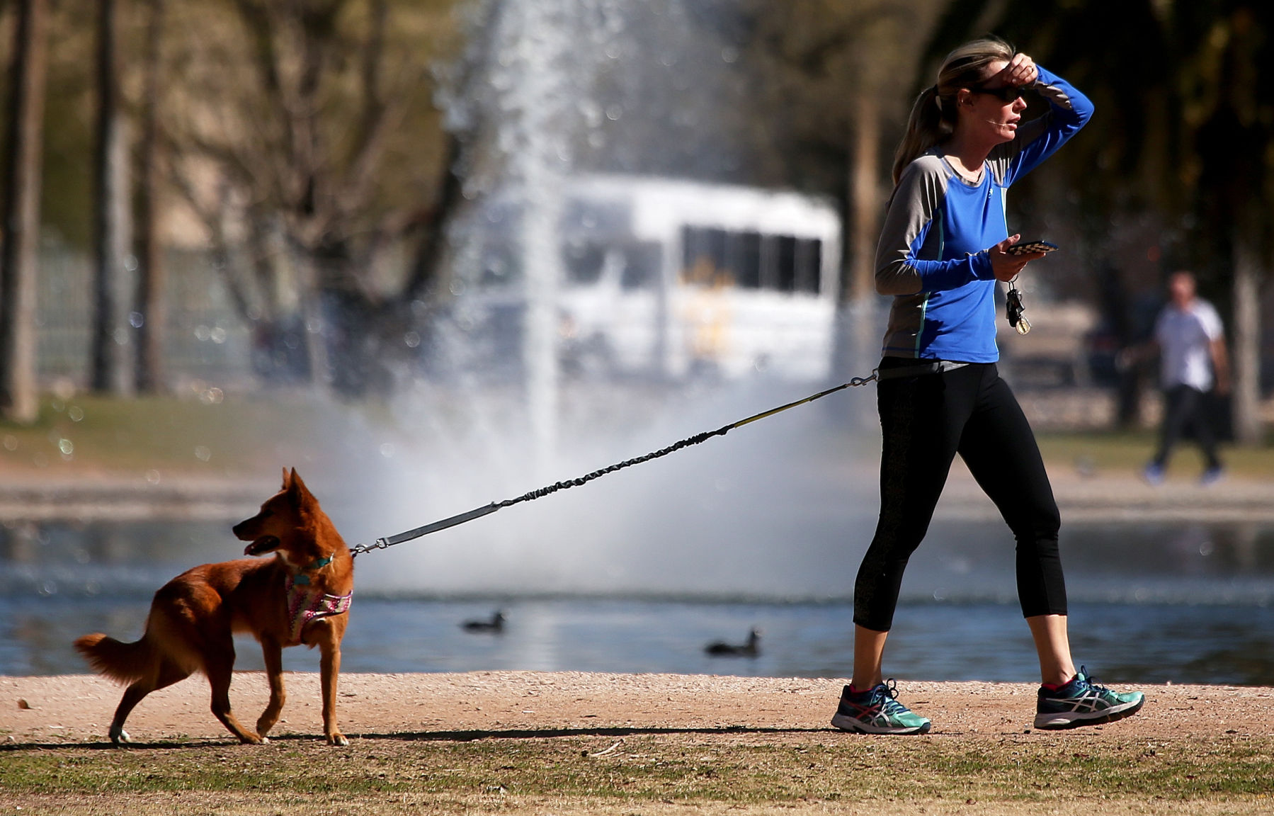 Dog-friendly cities